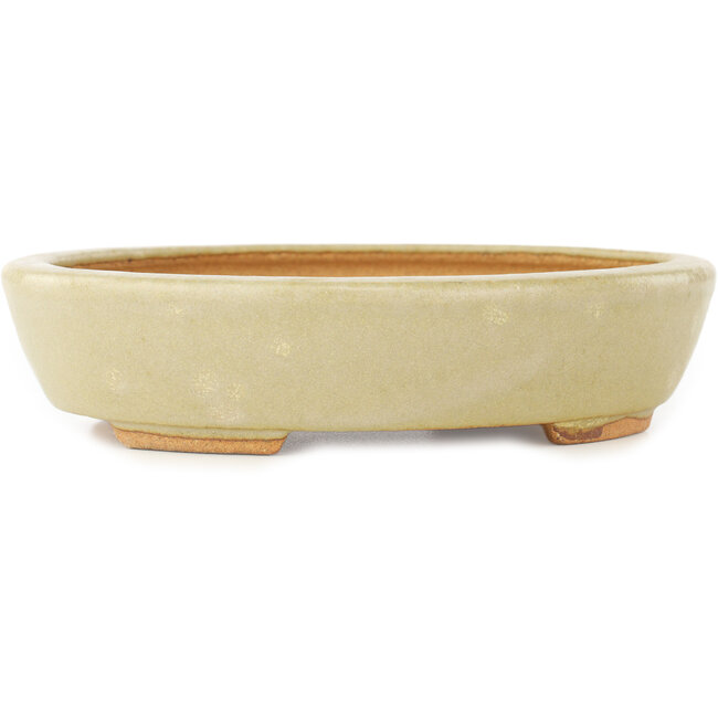 Oval white bonsai pot by Hattori - 165 x 127 x 40 mm