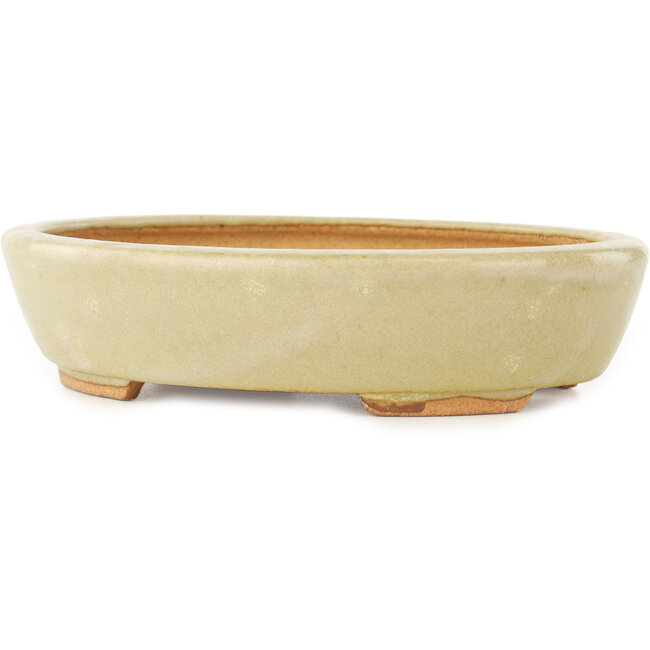 Pot à bonsaï ovale blanc de Hattori - 165 x 127 x 40 mm