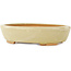 Vaso bonsai ovale bianco di Hattori - 165 x 127 x 40 mm
