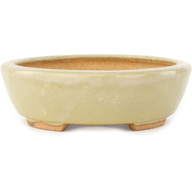 Pot à bonsaï ovale blanc de Hattori - 165 x 127 x 40 mm