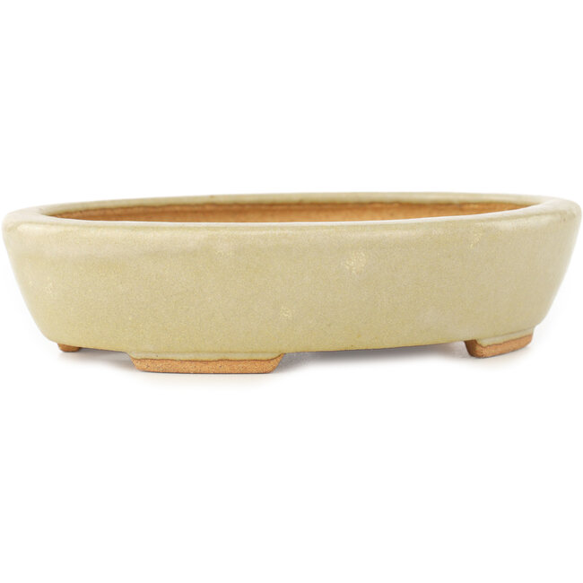 Vaso bonsai ovale bianco di Hattori - 165 x 127 x 40 mm