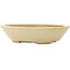 Vaso bonsai ovale bianco di Hattori - 165 x 130 x 40 mm