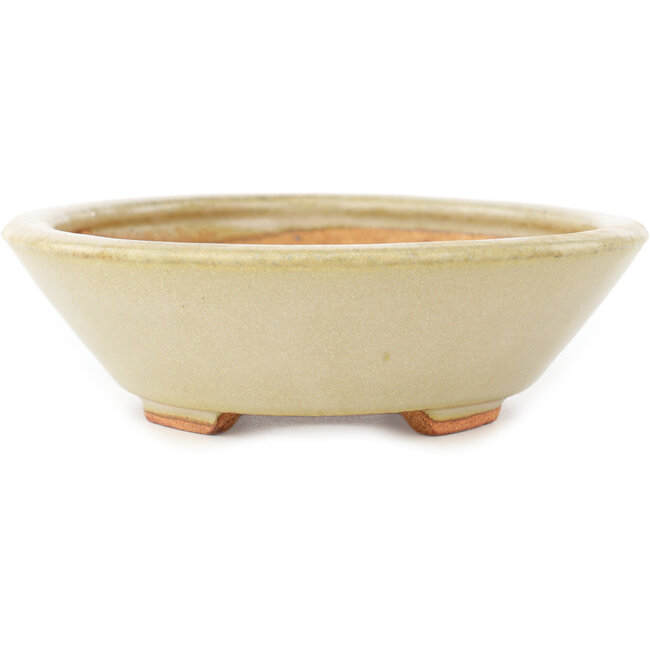 Maceta ovalada blanca para bonsái de Hattori - 165 x 130 x 40 mm