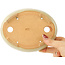 Pot à bonsaï ovale blanc de Hattori - 165 x 127 x 40 mm