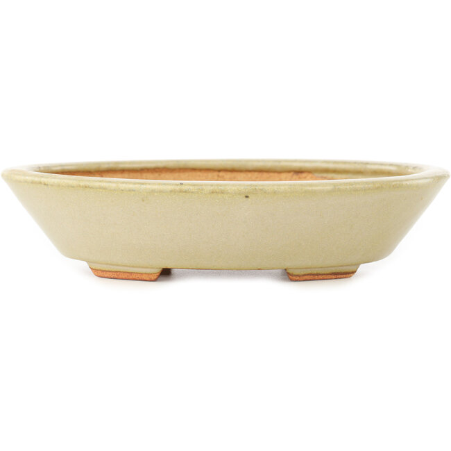 Ovale witte bonsai pot van Hattori - 165 x 130 x 40 mm