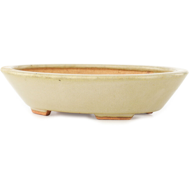 Maceta ovalada blanca para bonsái de Hattori - 165 x 130 x 40 mm