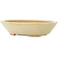 Vaso bonsai ovale bianco di Hattori - 165 x 130 x 40 mm