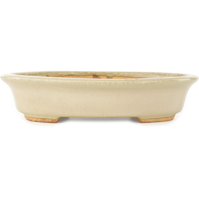 Oval white bonsai pot by Hattori - 165 x 132 x 38 mm