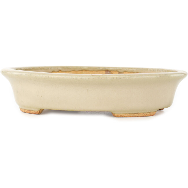 Oval white bonsai pot by Hattori - 165 x 132 x 38 mm