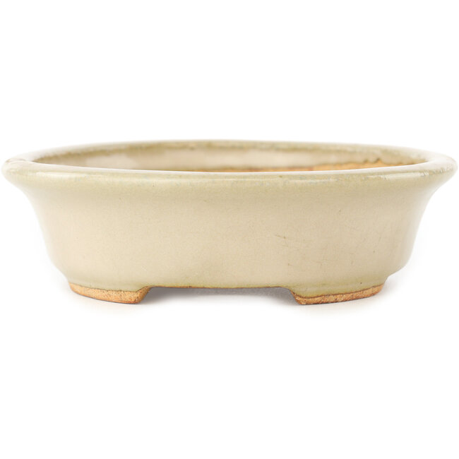 Pot à bonsaï ovale blanc de Hattori - 165 x 132 x 38 mm