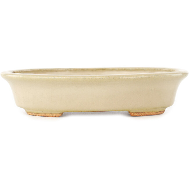 Pot à bonsaï ovale blanc de Hattori - 165 x 132 x 38 mm