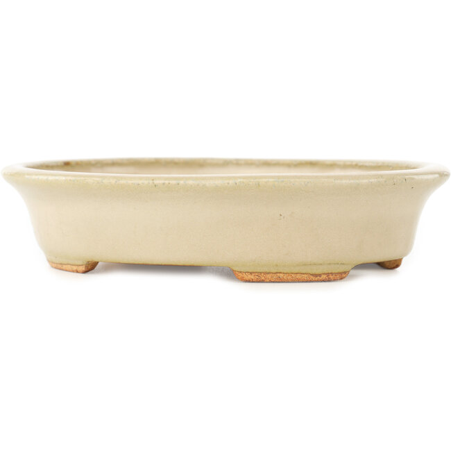 Vaso bonsai ovale bianco di Hattori - 165 x 132 x 38 mm