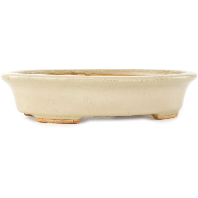 Pot à bonsaï ovale blanc de Hattori - 165 x 132 x 38 mm