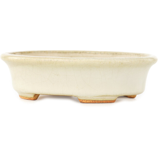 Maceta ovalada blanca para bonsái de Hattori - 130 x 105 x 35 mm