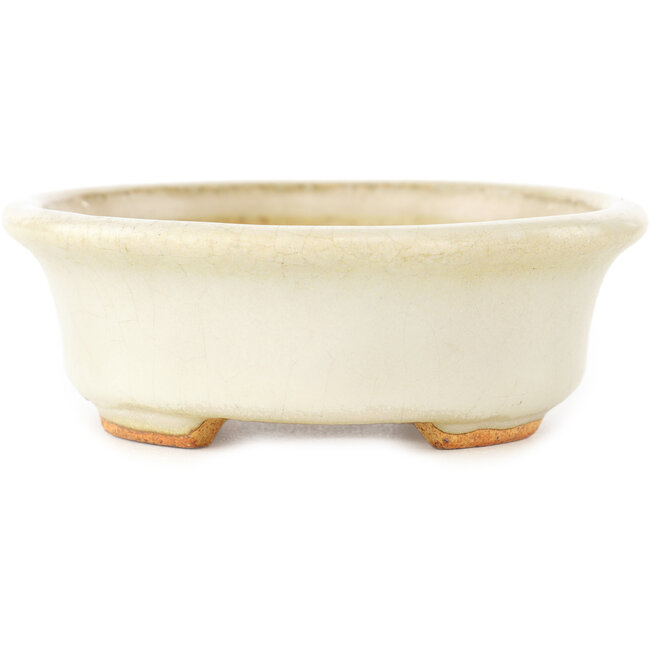 Maceta ovalada blanca para bonsái de Hattori - 130 x 105 x 35 mm