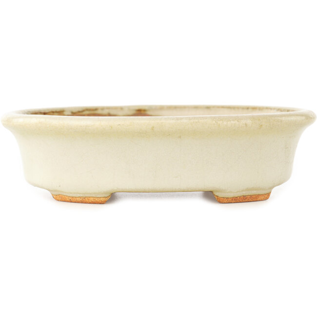 Vaso bonsai ovale bianco di Hattori - 130 x 105 x 35 mm