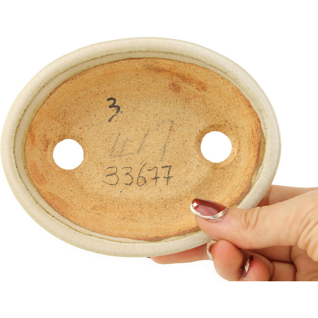 Ovale witte bonsai pot van Hattori - 130 x 105 x 35 mm