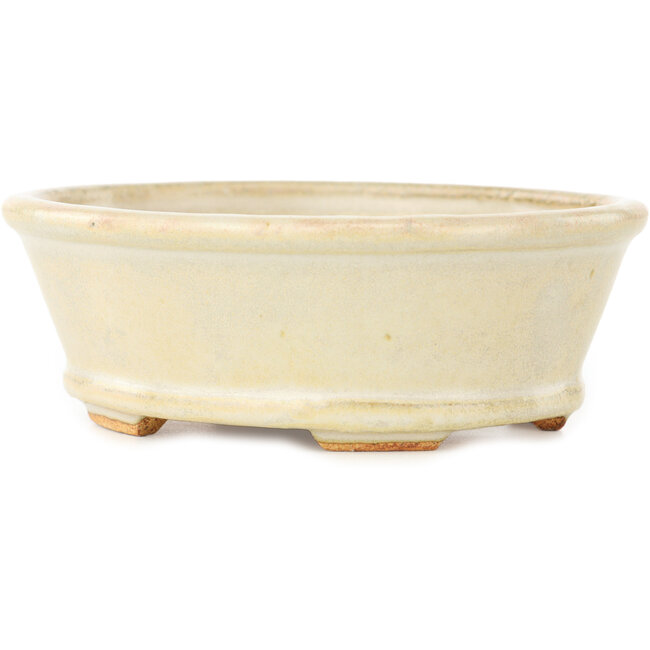 Maceta ovalada blanca para bonsái de Hattori - 132 x 113 x 45 mm