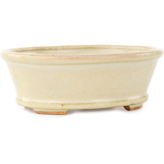 Oval white bonsai pot by Hattori - 132 x 113 x 45 mm