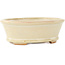 Vaso bonsai ovale bianco di Hattori - 132 x 113 x 45 mm