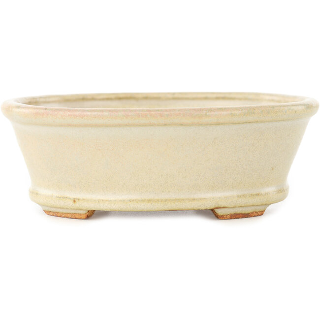 Oval white bonsai pot by Hattori - 132 x 113 x 45 mm