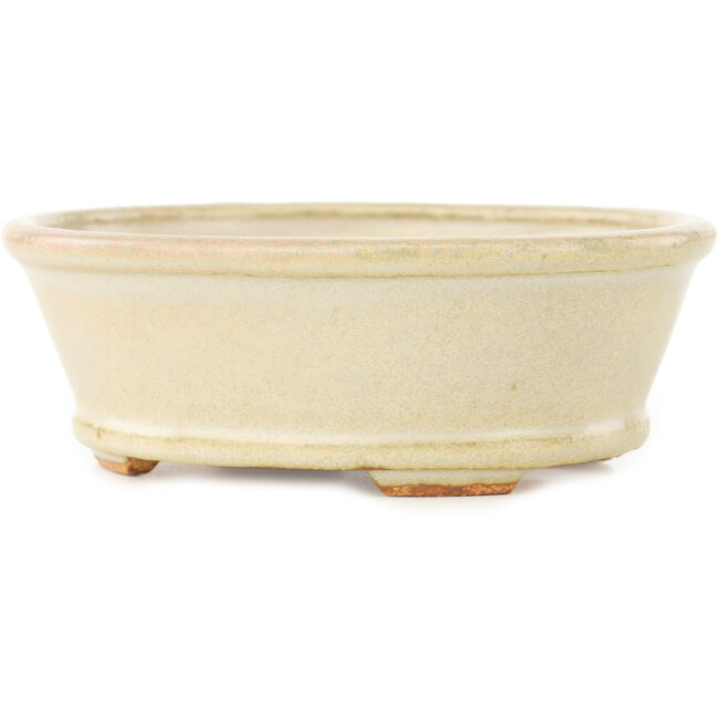 Ovale witte bonsai pot van Hattori - 132 x 113 x 45 mm