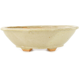  Hattori Tomoyuki Pot à bonsaï mokko blanc 163 mm par Hattori, Tokoname, Japon