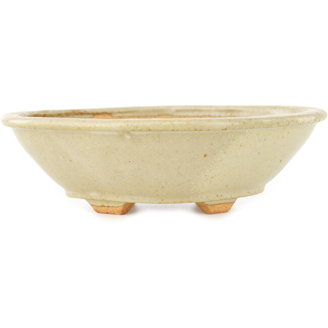 Pot à bonsaï Mokko blanc par Hattori - 163 x 140 x 48 mm