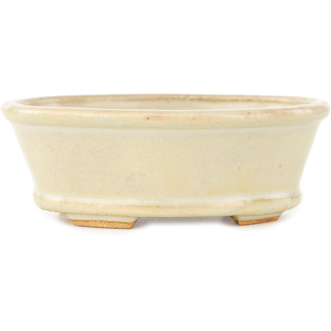 Vaso bonsai ovale bianco di Hattori - 132 x 113 x 45 mm