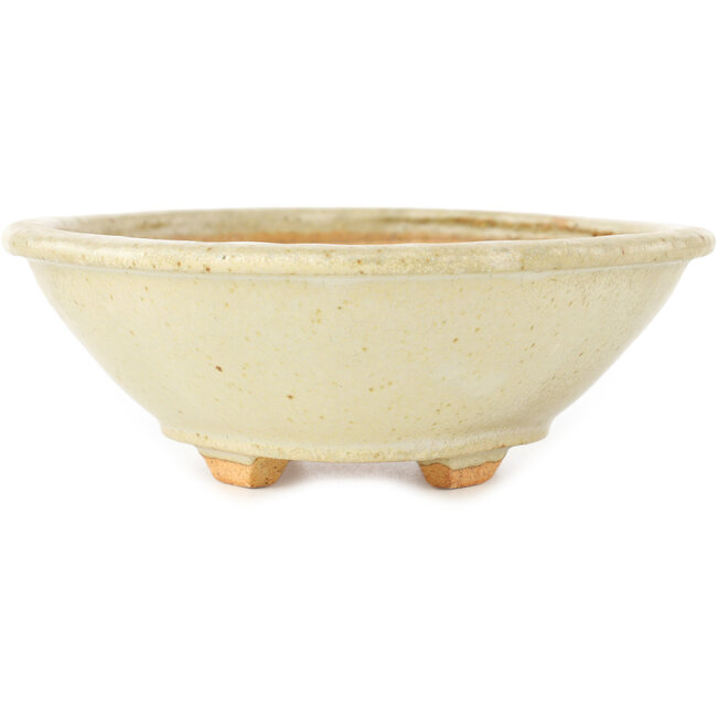 Pot à bonsaï Mokko blanc par Hattori - 163 x 140 x 48 mm