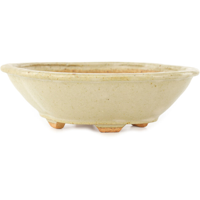 Mokko witte bonsai pot van Hattori - 163 x 140 x 48 mm