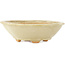 Pot à bonsaï Mokko blanc par Hattori - 163 x 140 x 48 mm