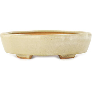  Hattori Tomoyuki 163 mm mokko witte bonsaipot van Hattori, Tokoname, Japan