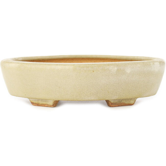 Pot à bonsaï Mokko blanc par Hattori - 163 x 140 x 32 mm