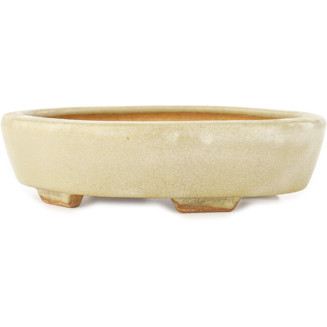 Maceta para bonsái blanca Mokko de Hattori - 163 x 140 x 32 mm