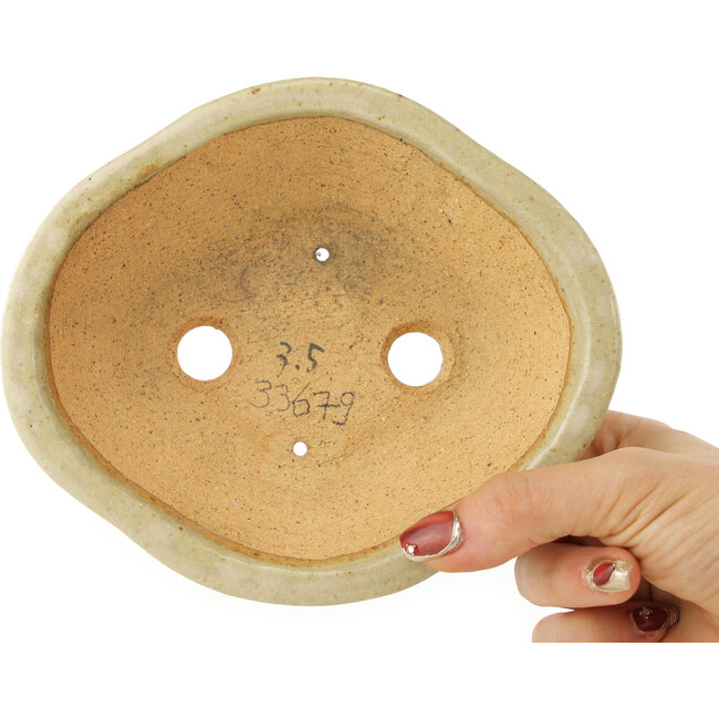 Maceta para bonsái blanca Mokko de Hattori - 163 x 140 x 48 mm