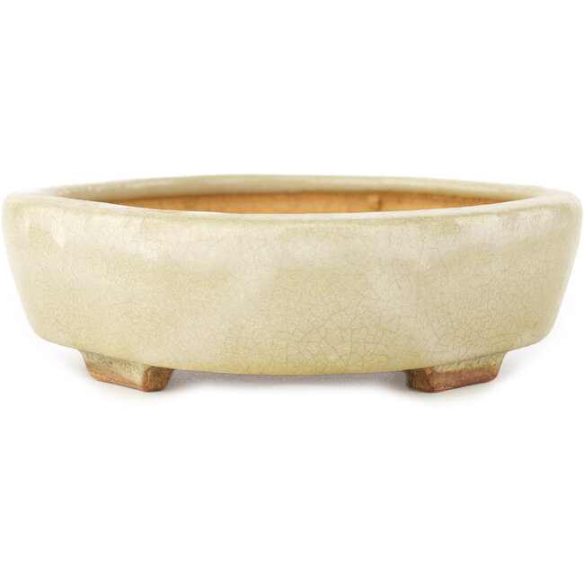 Pot à bonsaï Mokko blanc par Hattori - 163 x 140 x 32 mm