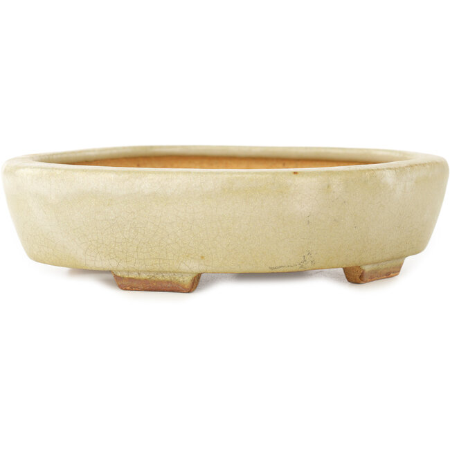 Maceta para bonsái blanca Mokko de Hattori - 163 x 140 x 32 mm