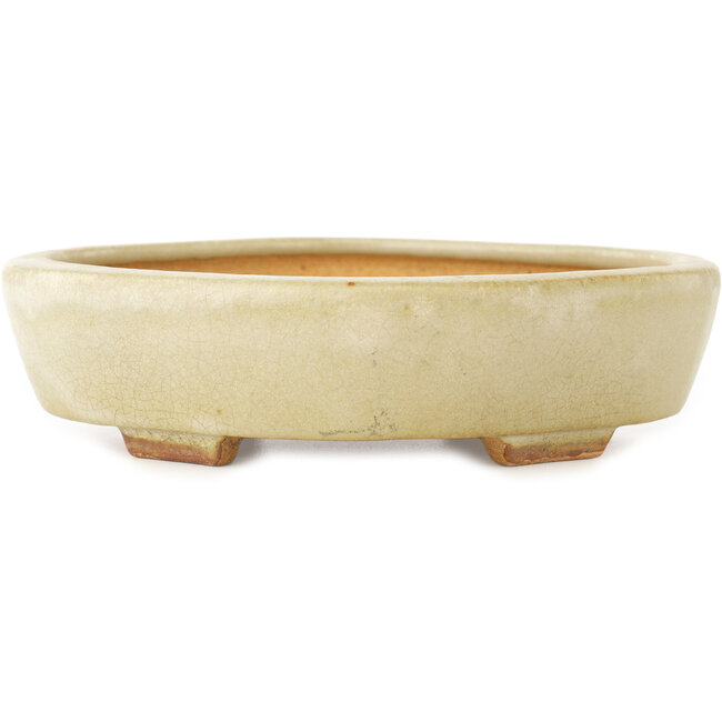 Pot à bonsaï Mokko blanc par Hattori - 163 x 140 x 32 mm