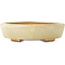 Pot à bonsaï Mokko blanc par Hattori - 163 x 140 x 32 mm