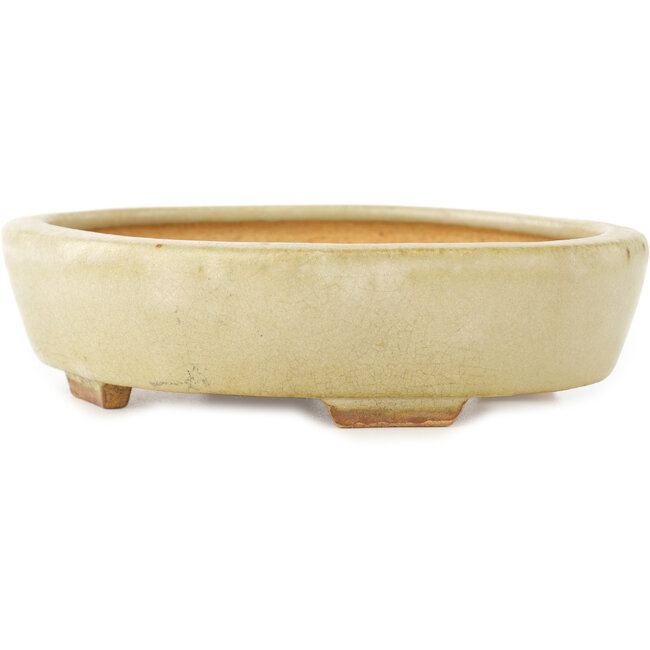 Pot à bonsaï Mokko blanc par Hattori - 163 x 140 x 32 mm