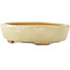Pot à bonsaï Mokko blanc par Hattori - 163 x 140 x 32 mm