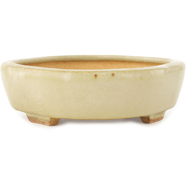 Vaso bonsai Mokko bianco di Hattori - 163 x 140 x 32 mm