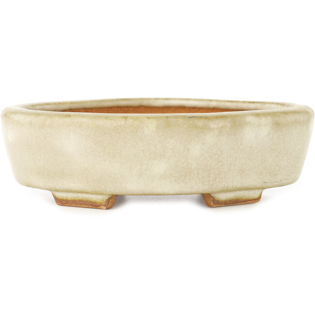 Pot à bonsaï Mokko blanc par Hattori - 142 x 118 x 43 mm
