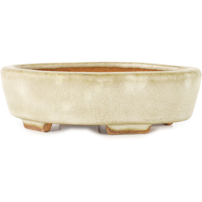 Vaso bonsai Mokko bianco di Hattori - 142 x 118 x 43 mm