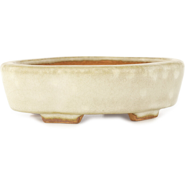 Pot à bonsaï Mokko blanc par Hattori - 142 x 118 x 43 mm