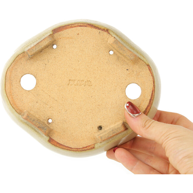 Maceta para bonsái blanca Mokko de Hattori - 163 x 140 x 32 mm