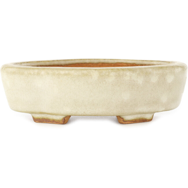 Pot à bonsaï Mokko blanc par Hattori - 142 x 118 x 43 mm