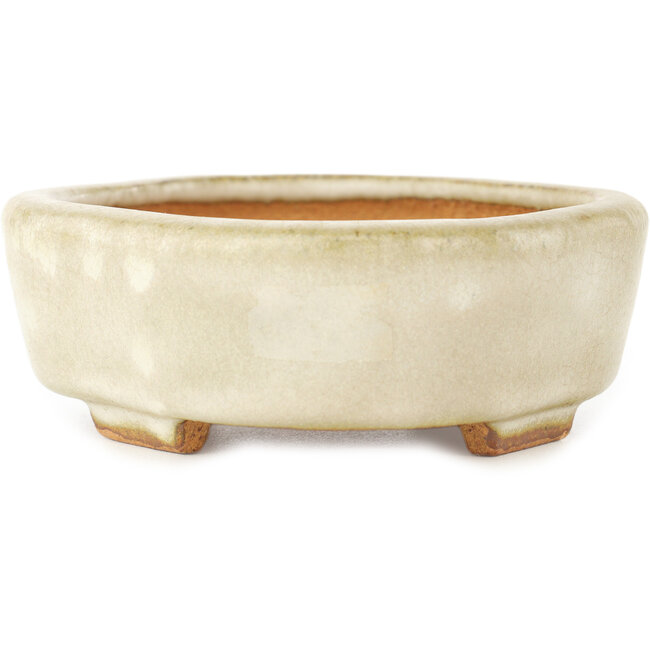 Vaso bonsai Mokko bianco di Hattori - 142 x 118 x 43 mm