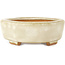 Pot à bonsaï Mokko blanc par Hattori - 142 x 118 x 43 mm